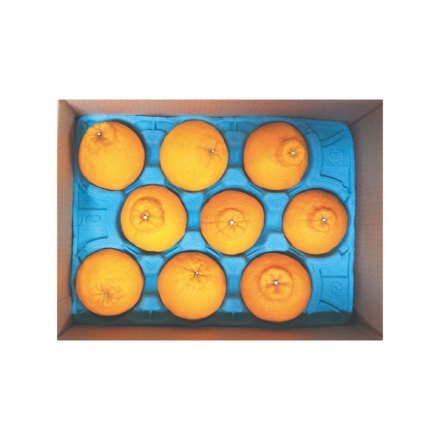 ＪＡえひめ中央 デコポン 2.2ｋｇ