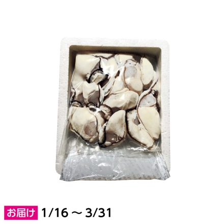 美能かき 加熱用むき身500ｇ カキ