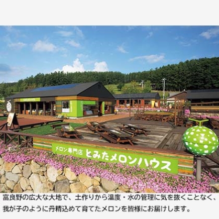 富良野メロン・北海道産青肉メロン詰め 赤肉・青肉 各1.6kg