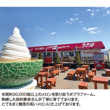 富良野メロン中玉 2個入