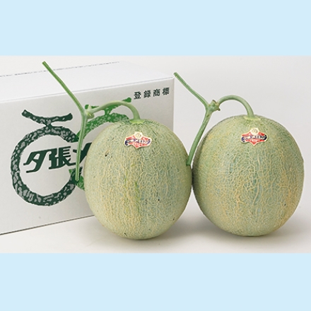 夕張メロン（優品） 2個