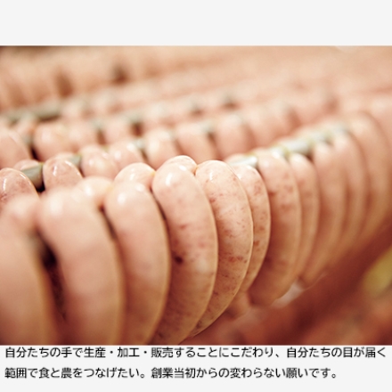 ソーセージセット Ａ リングフランク・フライッシュケーゼ 各110g、あらびきウインナー・ポークウインナー・チョリソーウインナー 各65g