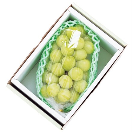 シャインマスカット Ａ 500ｇ（1房）