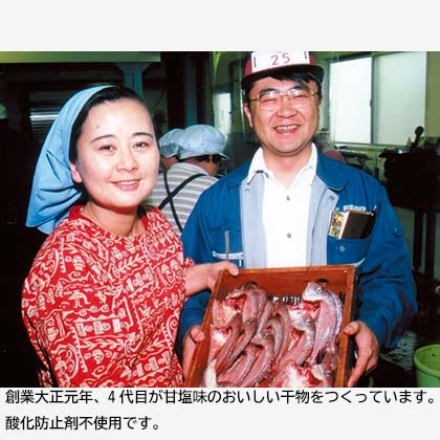 小田原はやせ ひもの詰合せ 真あじ3枚、豆あじ5枚、かます2枚、金目鯛・さば醤油干 各1枚