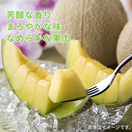 マスクメロン 2個入