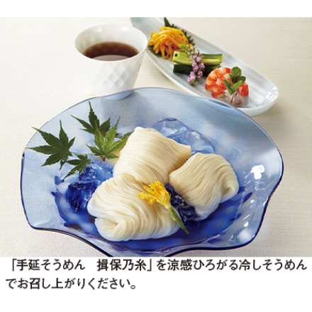 手延そうめん 揖保乃糸 熟成麺 50g×17
