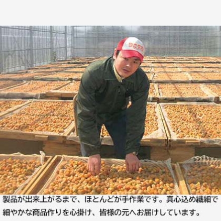 自家栽培のはちみつ梅 500g(約塩分4％)