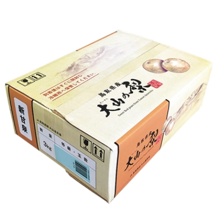 鳥取の梨（新甘泉） 3ｋｇ