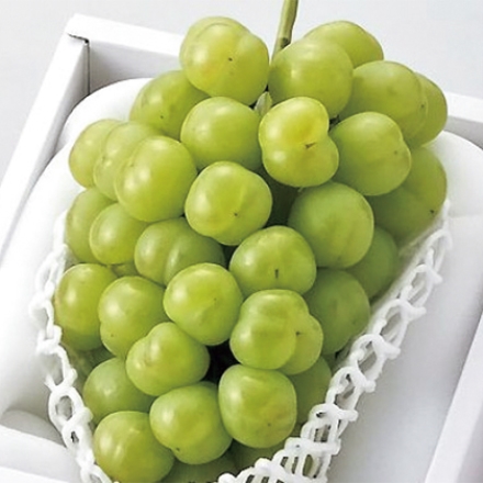 瀬戸ジャイアンツ 700ｇ