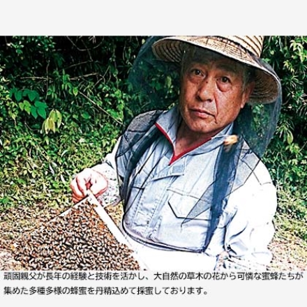 美甘養蜂園れんげ蜂蜜・山蜂蜜 れんげ蜂蜜・山蜂蜜 各140g