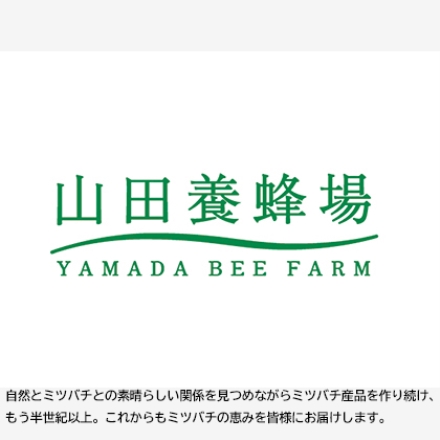 山田養蜂場 しょうが蜂蜜漬 900ｇ