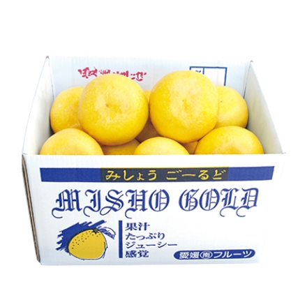 みしょうゴールド 贈答用 4kg(7～15個)