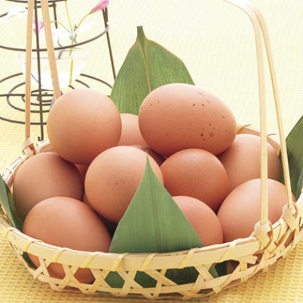 蔵王地養卵詰合せ 赤玉（生卵）30個、温泉卵（半熟卵）20個、温泉卵スープ付