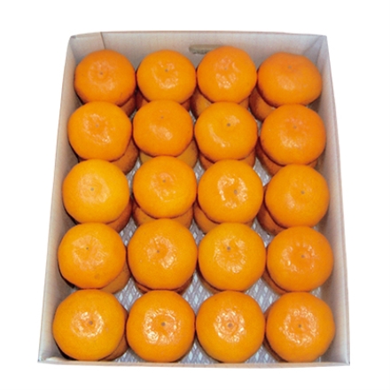 手詰温室みかん 4.2kg(S～2L：25～50個)