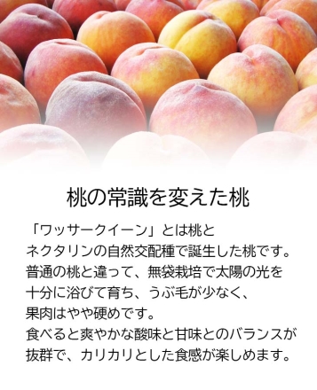 【こちらの商品は7月27日～8月25日の間にお届けします】桃（ワッサークィーン） 3ｋｇ 3ｋｇ（早生または中生：10～18個）