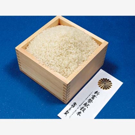 金崎さんちのお米（Ｒ）（コシヒカリ） 5ｋｇ×2 5ｋｇ×2 特別栽培米（長野県認証）