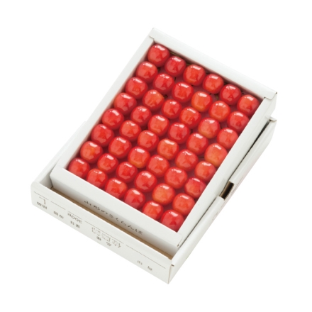 温室施設栽培 佐藤錦又は紅秀峰 300ｇ 化粧箱