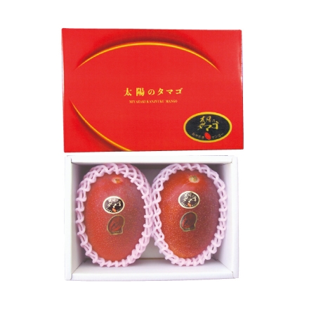 糖度15度以上選果 太陽のタマゴ 900g（2個）