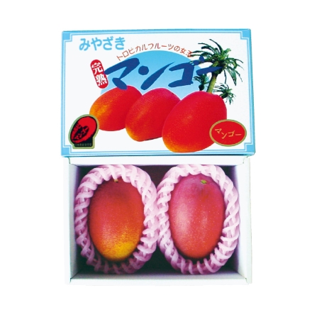 宮崎県 西都産 完熟マンゴー 700g（2～3個）