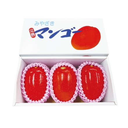 宮崎県 西都産 ミニマンゴー 750g（3玉）