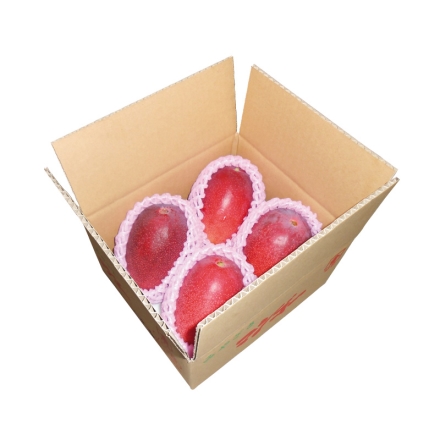 宮崎県 西都産 わけあり マンゴー 1.4kg（3～4玉）