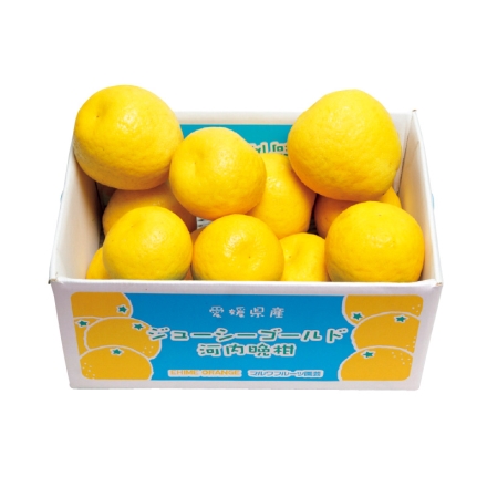 ご自宅用 ジューシーゴールド 4ｋｇ（M～3L混）