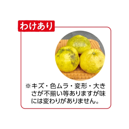 わけあり 河内晩柑 4.5ｋｇ