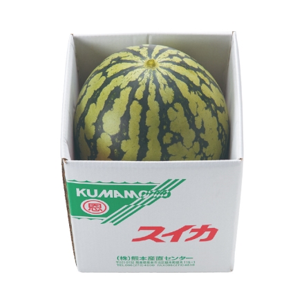 スイカ 1個
