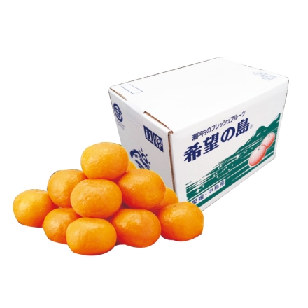 希望の島 カラマンダリン 2kg（S～2L混、優：12～20個）