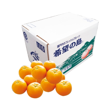 希望の島 ブラッドオレンジ 2kg（S～2L混、優：8～16個）