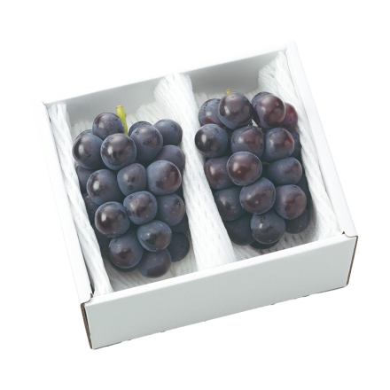 ニューピオーネ 2房