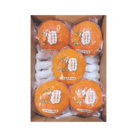 貯蔵デコポン 1kg（5個）