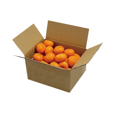 わけあり 佐賀県産 小玉ハウスみかん 1.5kg（35～50個）