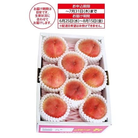 福島県産 ミスピーチプレミアム 1.6kg（秀・特秀：6～9個）
