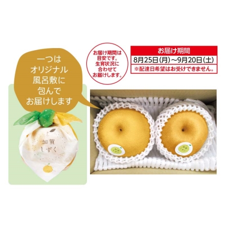 石川県産 加賀しずく 1kg（2個）