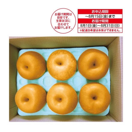 石川県産 幸水梨 2.5kg（6～8個）