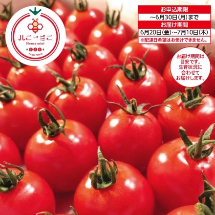 青森県産 ミニトマト「 ハニーミニ 」 1kg