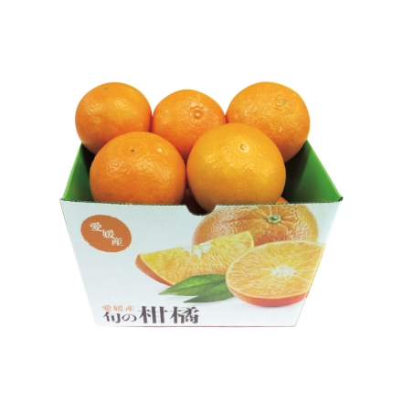 紅まどんな 1.4ｋｇ