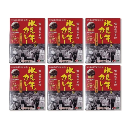 氷見牛入りカレー Ｂ（6食）