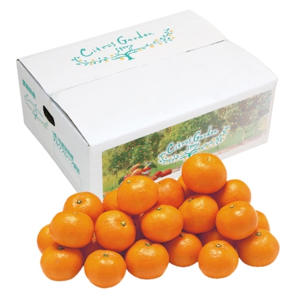 愛媛みかん 贈答用 3ｋｇ（Ｓ～Ｌ）