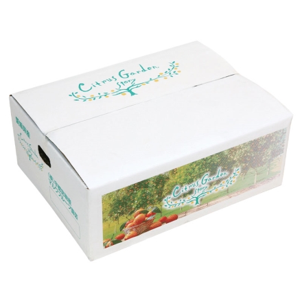 甘平 ご家庭用 3kg（2S～3L混）