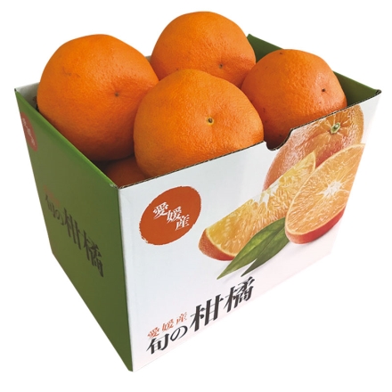 甘平（カンペイ） 1.4ｋｇ