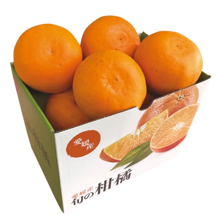 せとか（1.4ｋｇ）