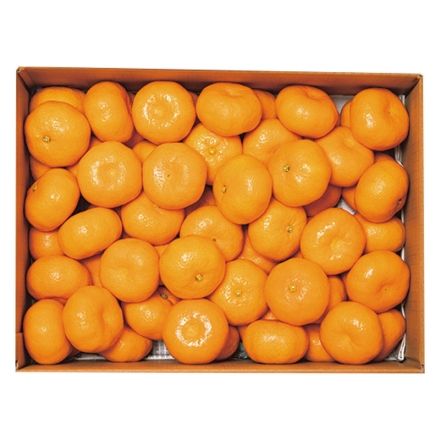熊本産みかん 4.5kg（S～2L混：30～50個）