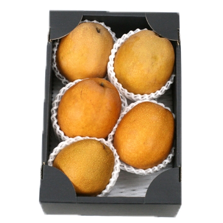 冬の梨 王秋 2kg（4～6個）