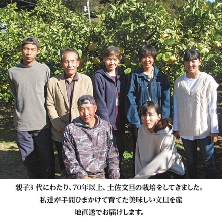 土佐文旦 家庭用 Ａ 5kg（L～4L：7～12個）