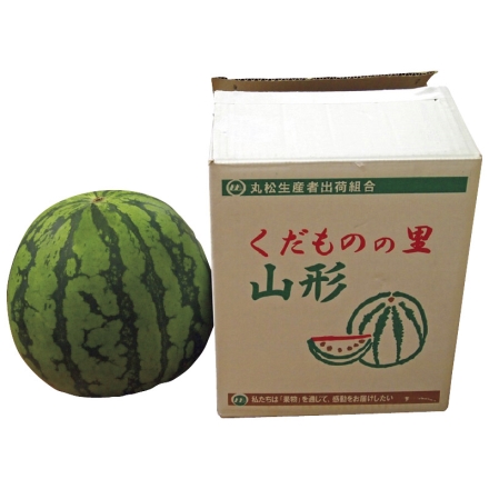 お中元のし付き 尾花沢すいか 6kg（秀） 御中元 夏ギフト ギフト 贈答