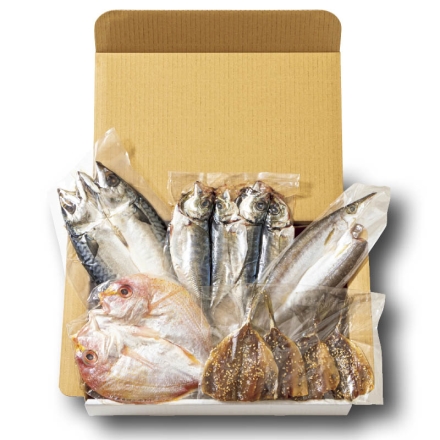 お中元のし付き 九州近海干物詰合せＡ 真あじの干物70g×2、れんこ鯛の干物140g、かますの干物70g、真さばの干物150g、あじみりん20g×4 御中元 夏ギフト ギフト 贈答