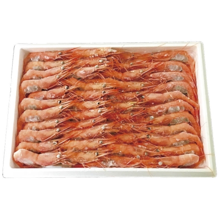お中元のし付き 冷凍 お刺身用 甘えび 600g 御中元 夏ギフト ギフト 贈答