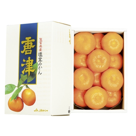 お中元のし付き ハウスみかん 1kg（10～15個） 御中元 夏ギフト ギフト 贈答
